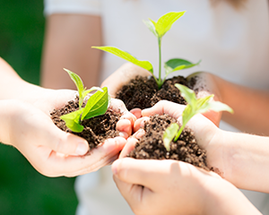 지역 사회와 국가에 기여